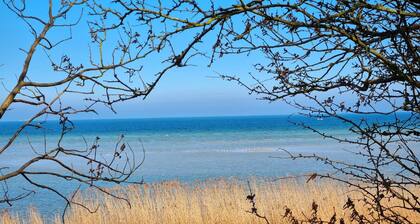 Ferienwohnung Deich und Meer - direkt an der Ostsee an Deich und Meer