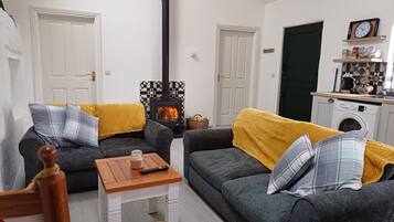 Smart TV, fireplace, books, stereo