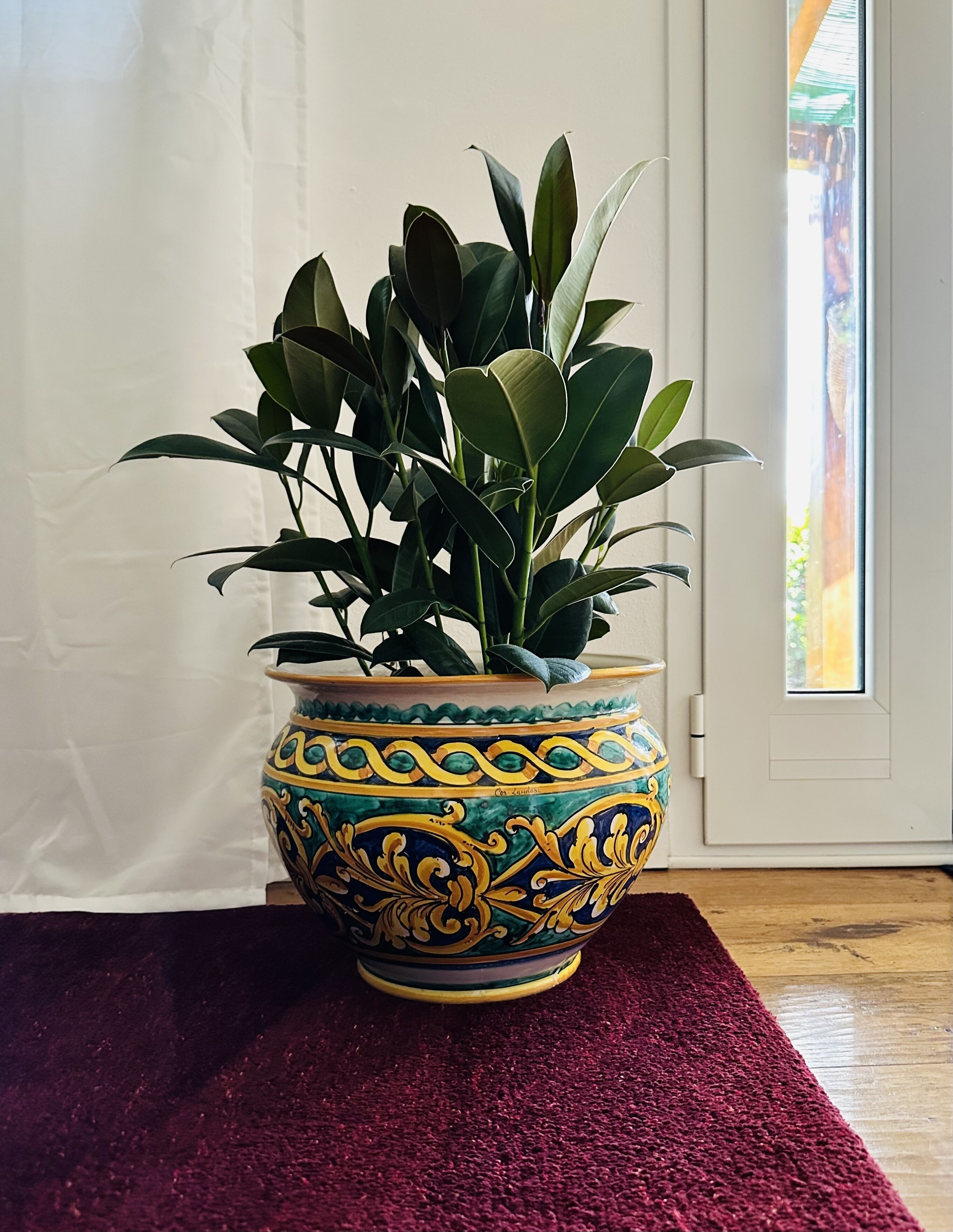 A potted plant with a decorative vase on a wooden floor.