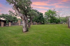 Ein grünes Freigelände mit einem großen Baum, einem Holzzaun und einem Gebäude mit Backsteinwänden.