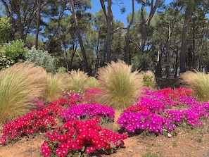 Overnattingsstedets uteområder