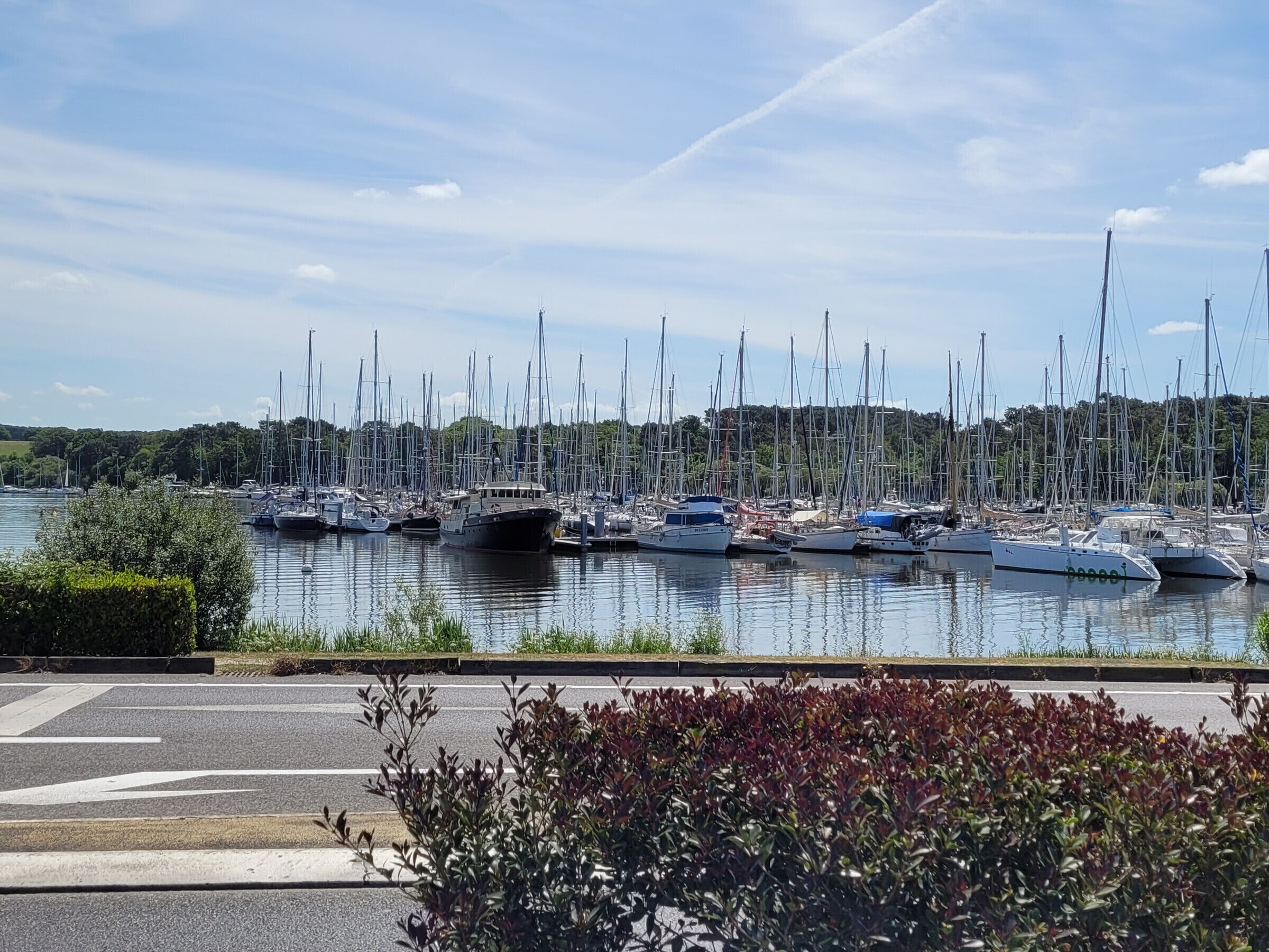 A marina with multiple boats docked, a bridge, and a view of a hilly landscape.