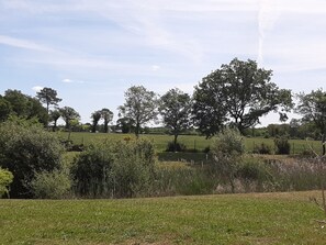 A rural landscape with open fields, scattered trees, and a clear sky.