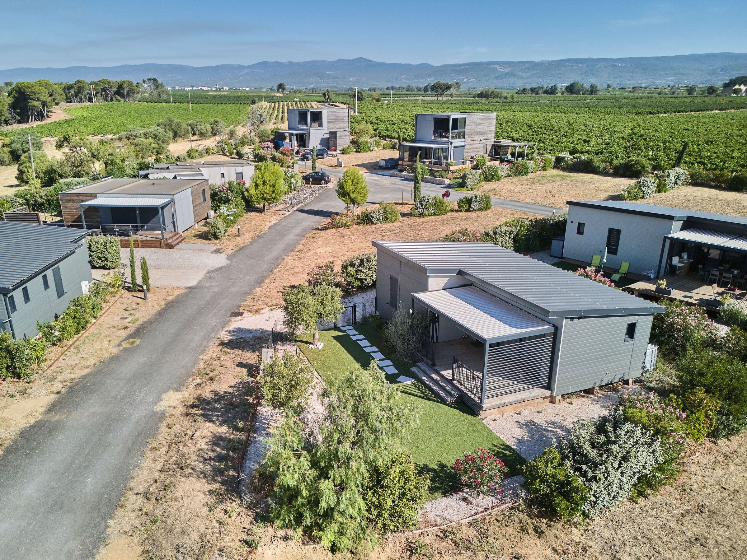 Zona residencial con casas modernas, un camino pavimentado y un viñedo al fondo.