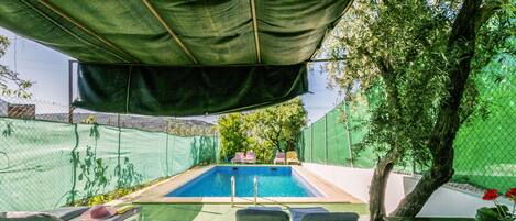 A swimming pool with a green canopy overhead, surrounded by white lounge chairs and a tree.