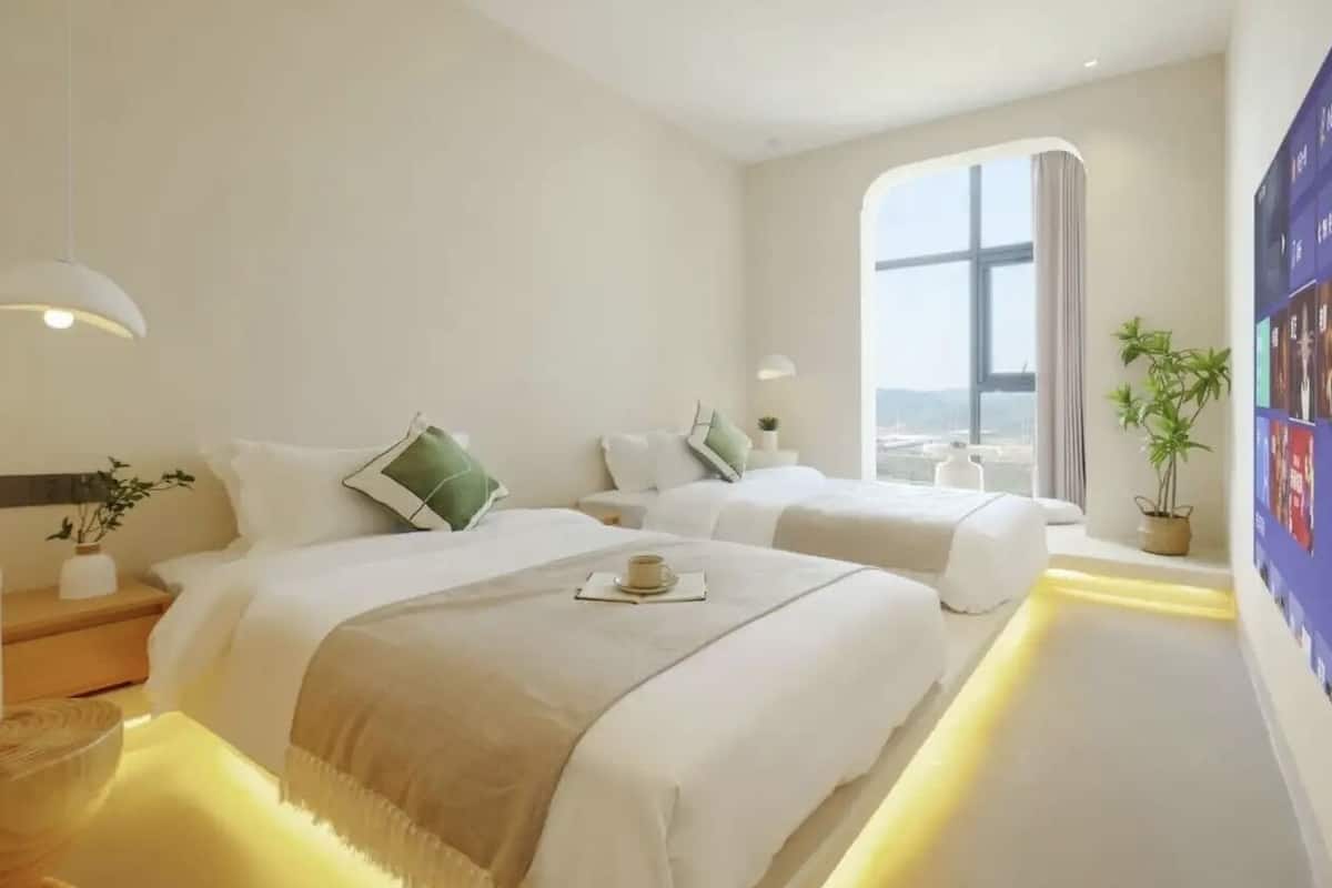 Habitación de hotel con dos camas, un ventanal grande, una planta y una pared con fotografías.