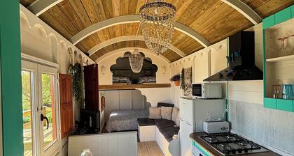 Houten Chalet, Costa del Sol, Estepona Biologisch Groente en Fruit