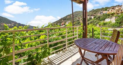 Nick s Apartment in Kambos