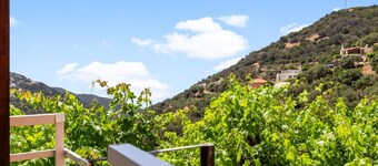 Nick s Apartment in Kambos