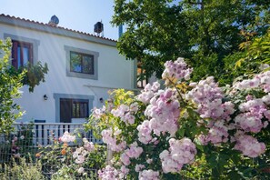 1 bedroom - Panethimos House in Nature (Platanias)