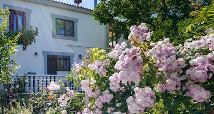 Panethimos House in Nature