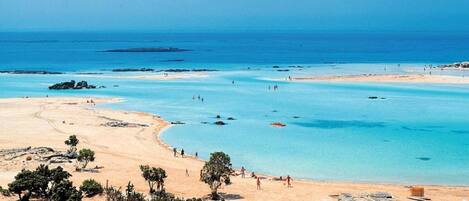 Apartment | 1 bedroom