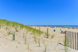 Una spiaggia nelle vicinanze