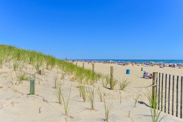 Plage à proximité