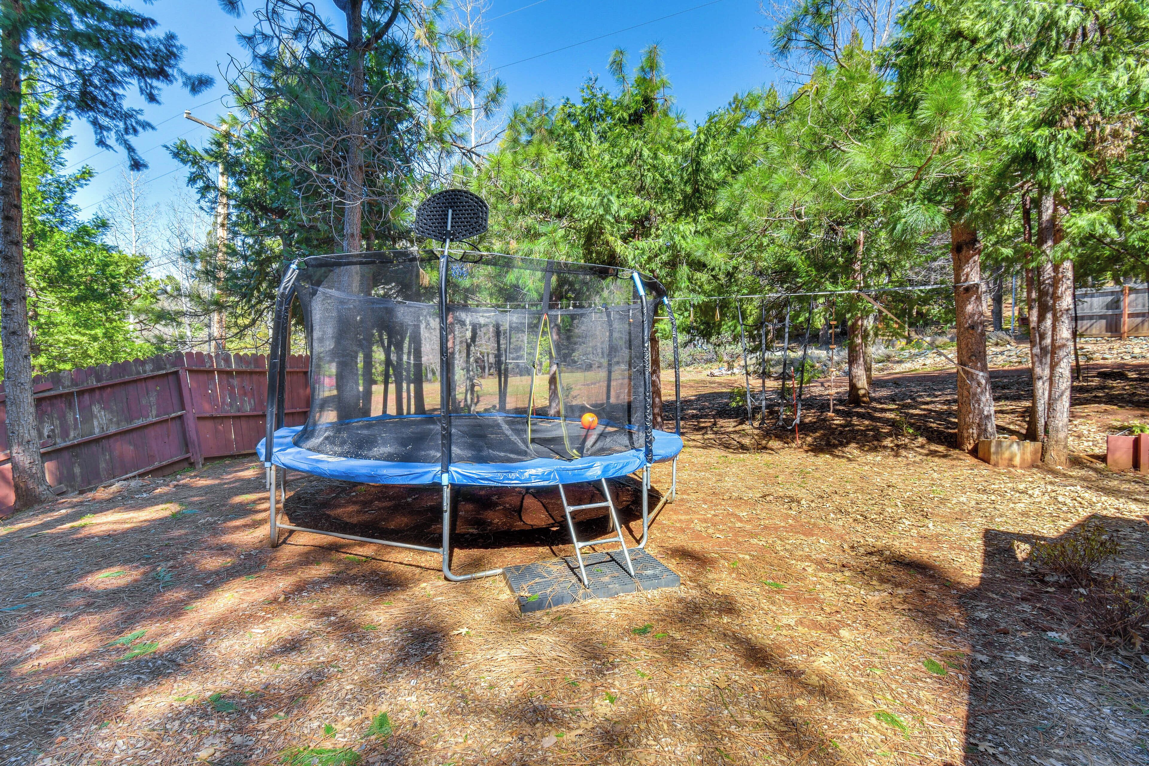 A trampoline in a wooded area with trees and a fence.