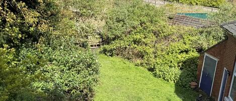 アパートメント | 施設の敷地