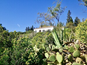 Property grounds - Charming 50s waterfront villa exclusive sea access terrace garden (Saint-Raphaël)