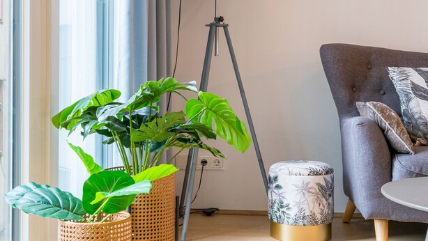A modern living room with a grey sofa, two wicker plant stands, a floor lamp, and a round ottoman with a floral pattern. - Vienna Residence, Pramergasse - Inner City #6325 (Vienna)