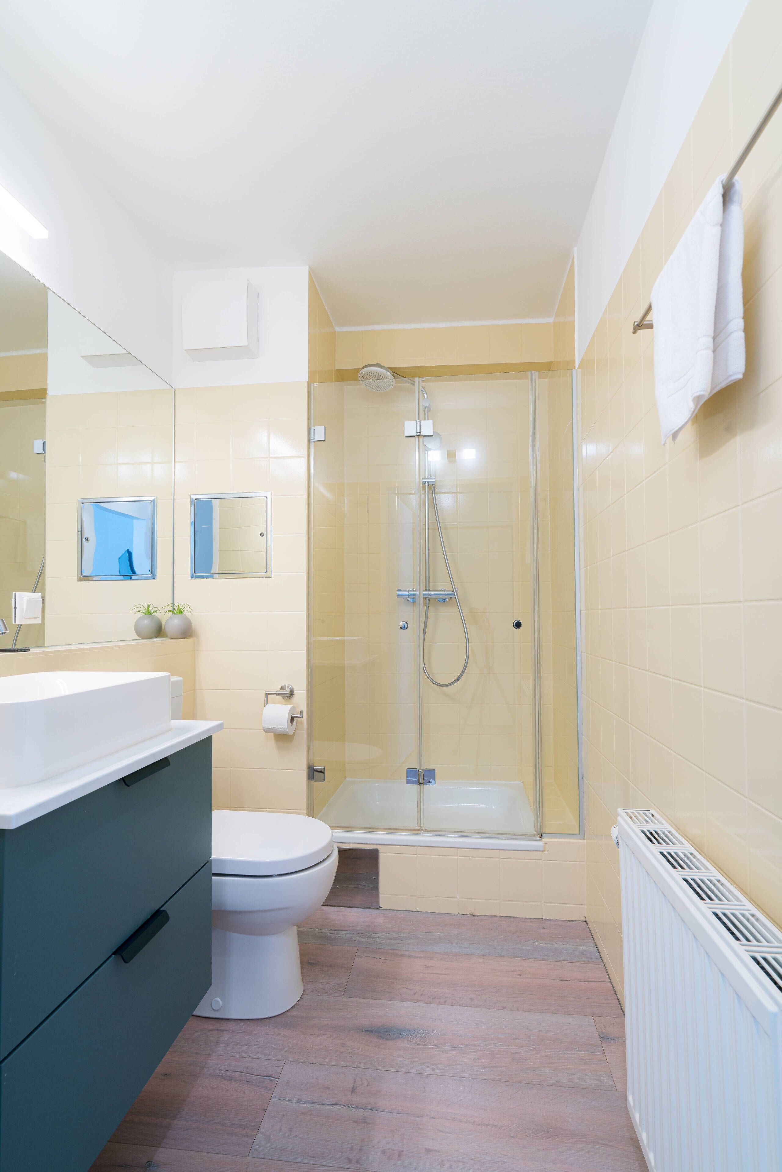 A modern bathroom with a glass-enclosed shower, a white toilet, a vanity with a mirror, and a radiator.