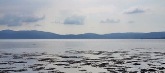 Fyne Rooms Bute - sleeps 2 guests  in 1 bedroom