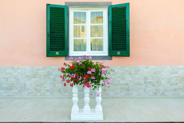 Exterior detail