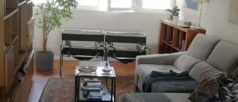 TV, DVD player, books