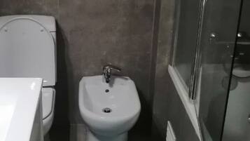 Shower, hair dryer, bidet, towels