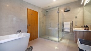 Shower, hair dryer, towels