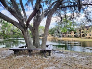 Àrea exterior de l'allotjament