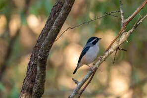 Doccia, asciugacapelli, bidet, asciugamani