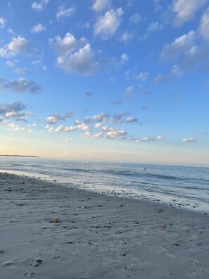 Beach - Seaside Coastal Escape 🌊 (Duxbury)