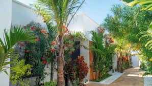 Un sendero bordeado de vegetación exuberante y plantas florecientes, que conduce a un edificio blanco con una puerta oscura.