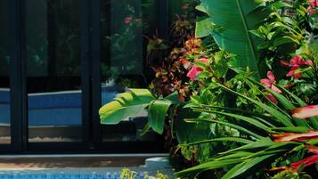 Luxury Private Villa with a Private Pool | Vista dalla camera