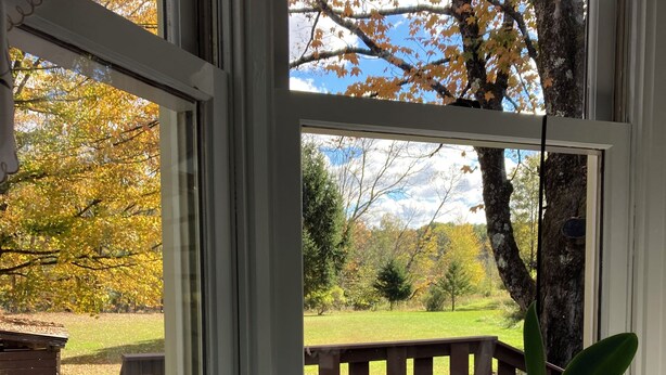 A window with a view of a tree and a grassy area. - Leaping Waters - peaceful home located along the West Canada in Barneveld, NY.   (Barneveld)