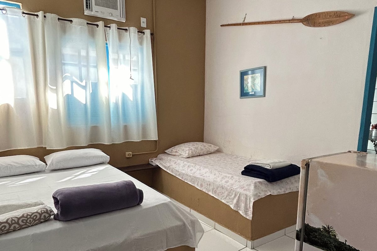 A room with two beds, a ceiling fan, a window with curtains, a picture on the wall, and a small table with a plant.
