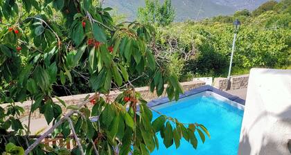 Maison Corse avec piscine et sauna - La Casa Lilia