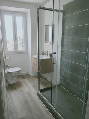 Douche, sèche-cheveux, serviettes fournies, papier toilette