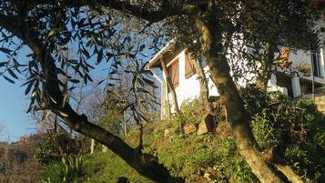 Una casa con techo inclinado, rodeada de follaje y árboles frondosos.