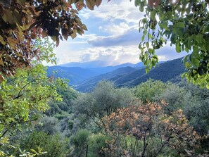 Cottage | Miscellaneous - House - Sleeps 5, Scenic Views, Fireplace & Garden (Bajardo)