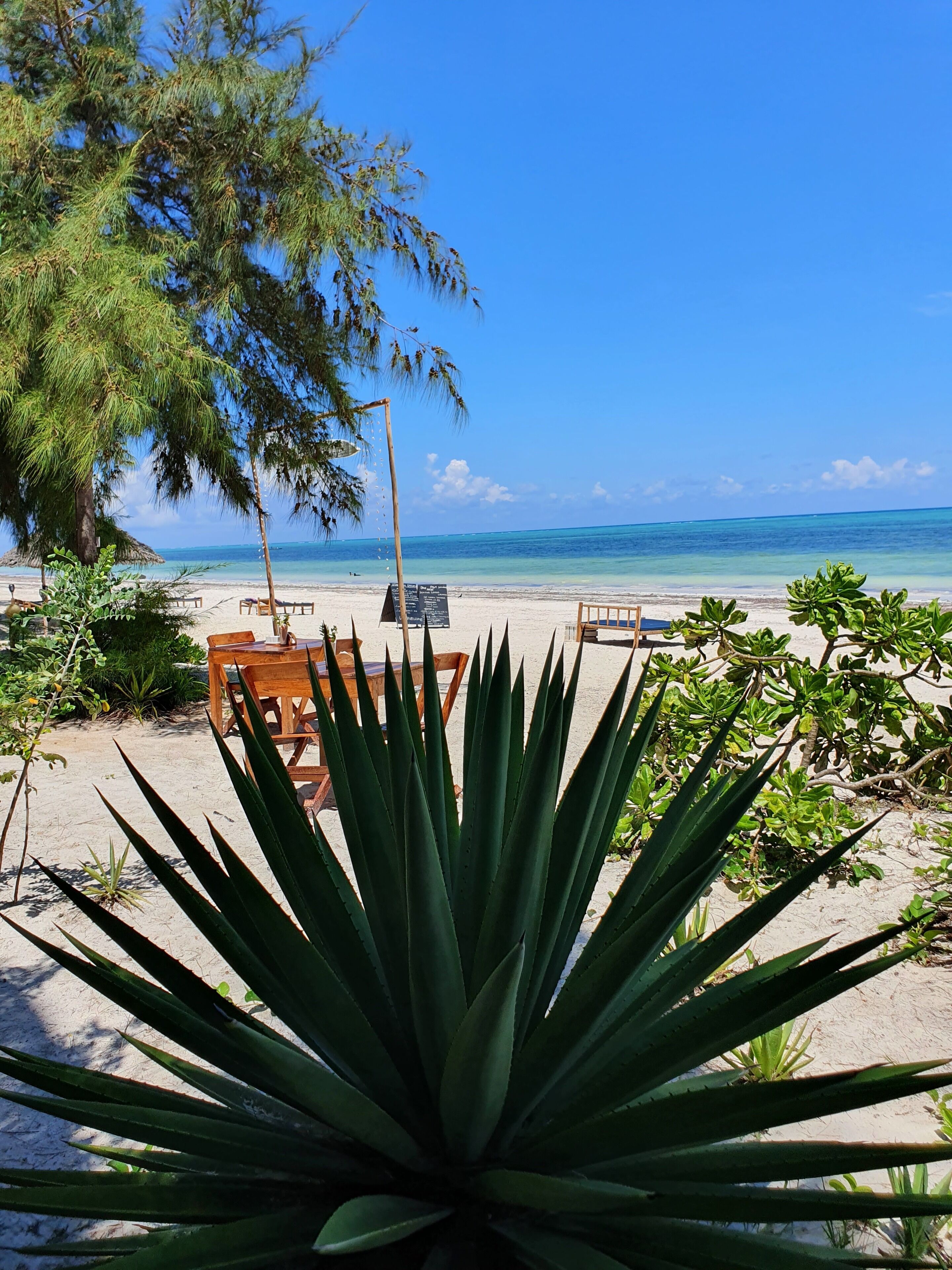 Photo - Blue Palm Zanzibar