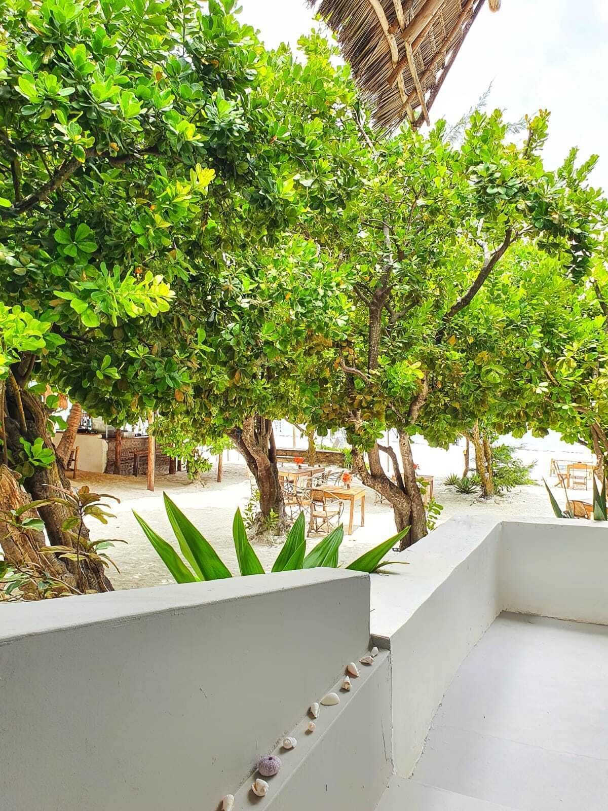 Foto - Blue Palm Zanzibar