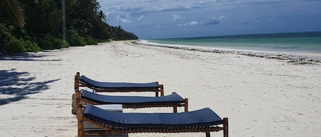 Una playa con tres sillas reclinables de madera y una palmera.