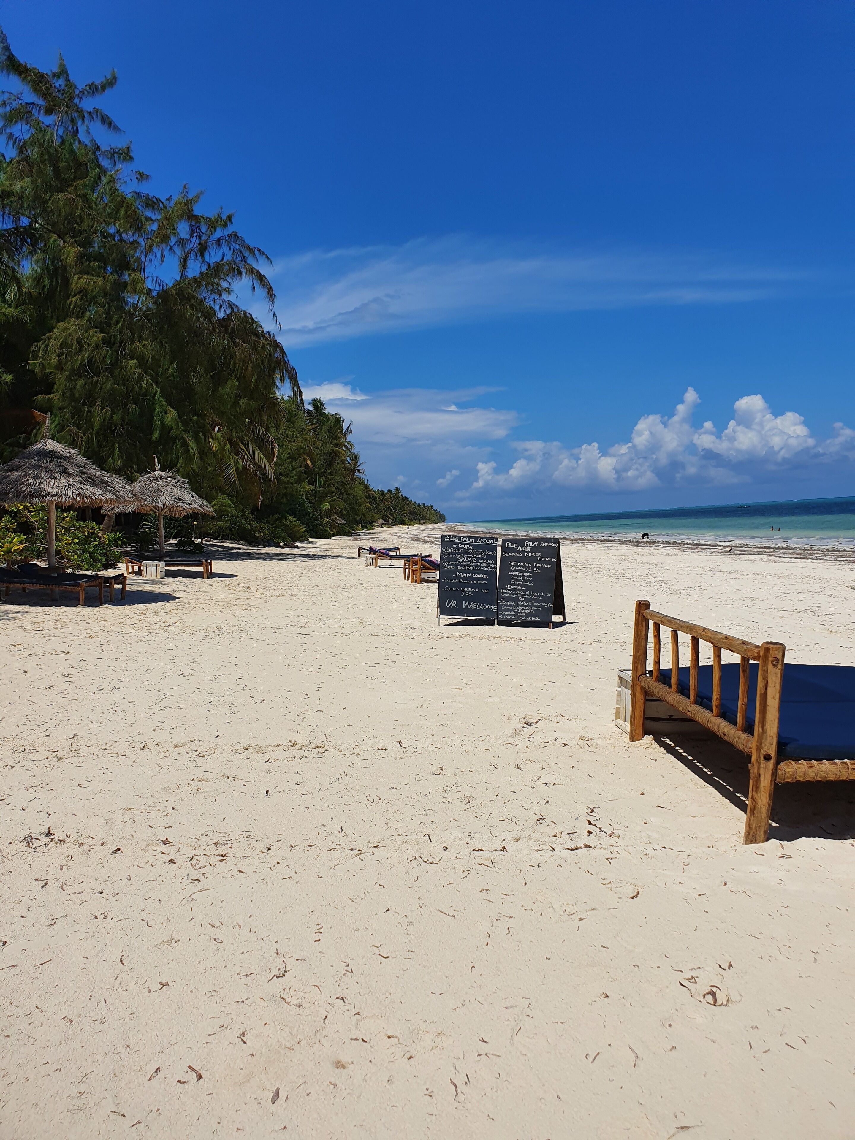A beach with a wooden bench, a thatched umbrella, and a signboard.