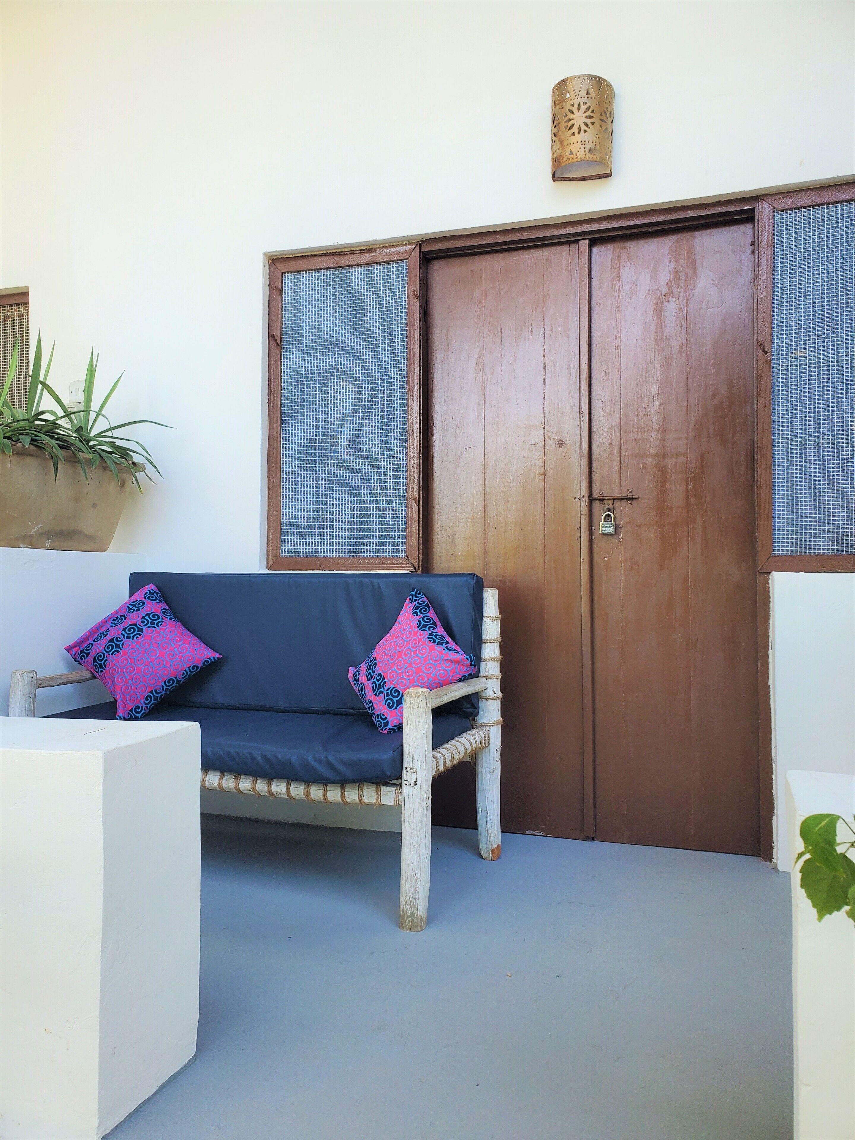 A wooden door with a mesh window, a blue sofa with patterned cushions, and a potted plant on the left.