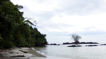 En la playa, traslado desde/hacia la playa y bar en la playa