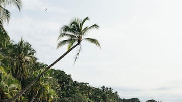 En la playa, traslado desde/hacia la playa y bar en la playa