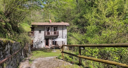 Antico Mulino Baderem del 1600 Immerso nei Boschi con Accesso Alla Cascata