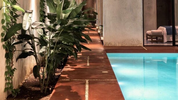 Zona de piscina con un camino de hormigón que lleva a una puerta de cristal, rodeada de abundante vegetación y plantas.