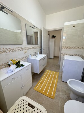 淋浴设施、吹风机、坐浴桶、毛巾