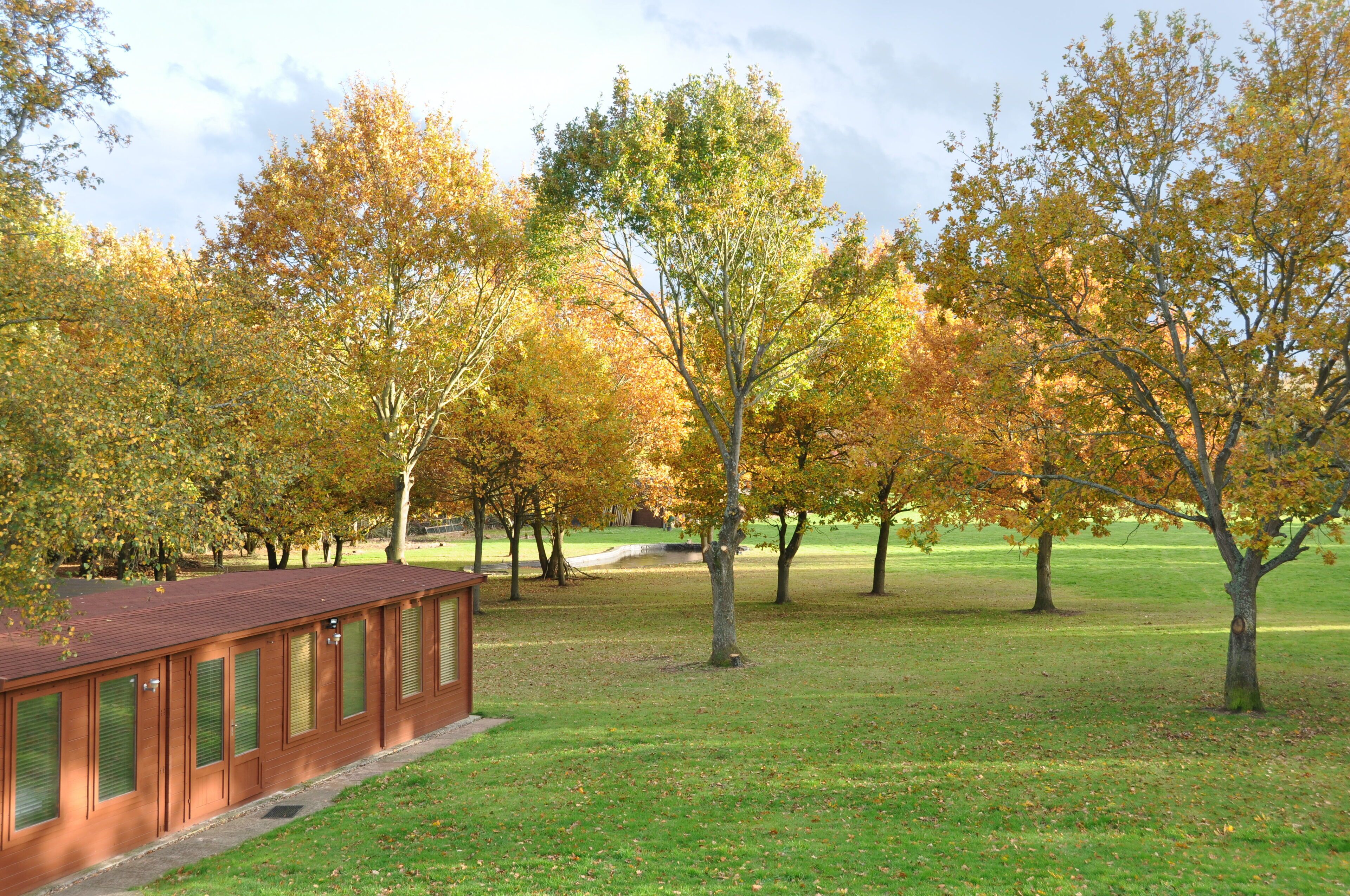 A building with a red roof and green shutters, surrounded by a grassy area with trees displaying autumn foliage.